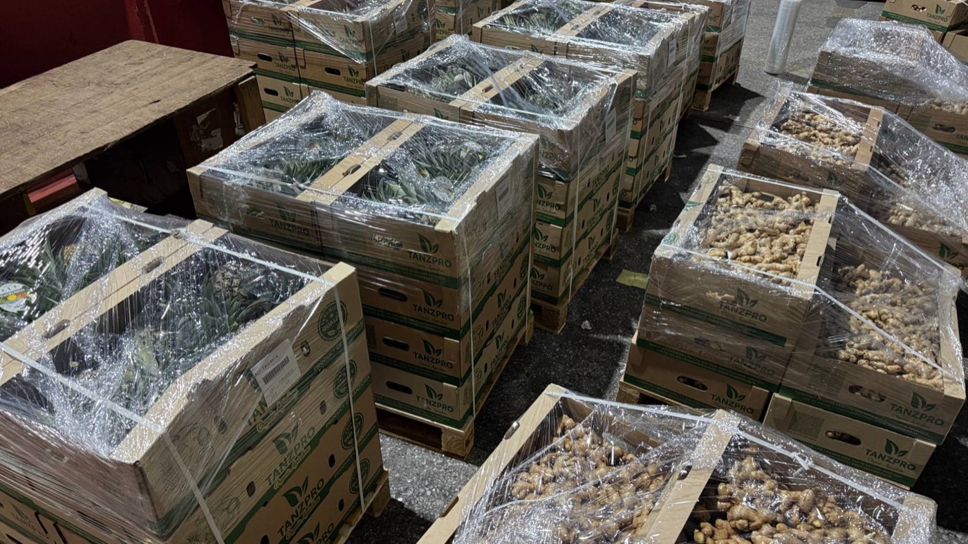 Palletised and shrink-wrapped TanzPro export cartons of organic pineapples and ginger, prepared under cold-chain conditions for airfreight to the Seychelles