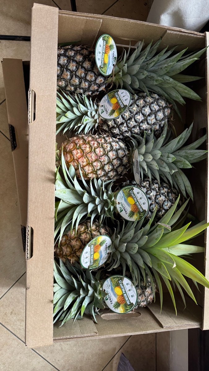 Premium organic Tanzanian pineapples hand-selected and packed with crown intact in TanzPro export cartons for the Seychelles