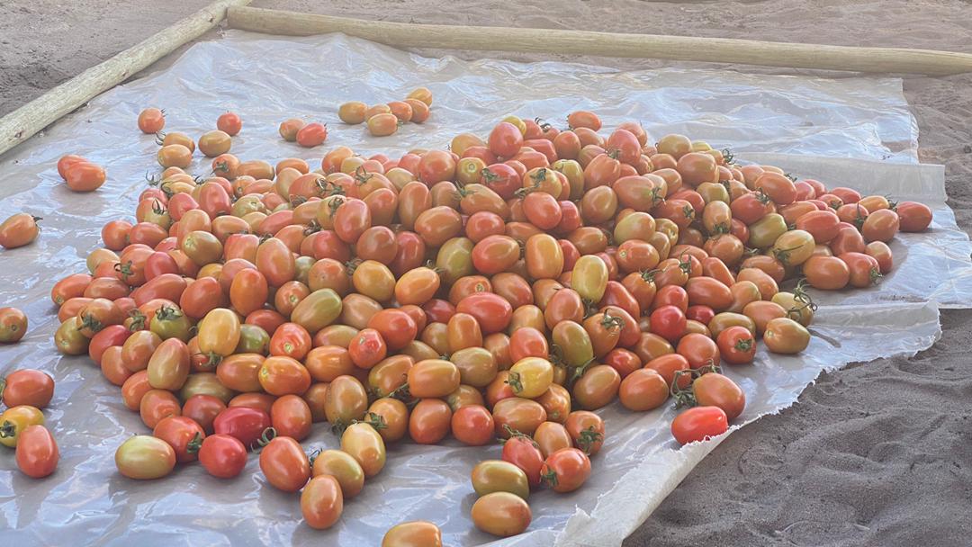 Local hot peppers