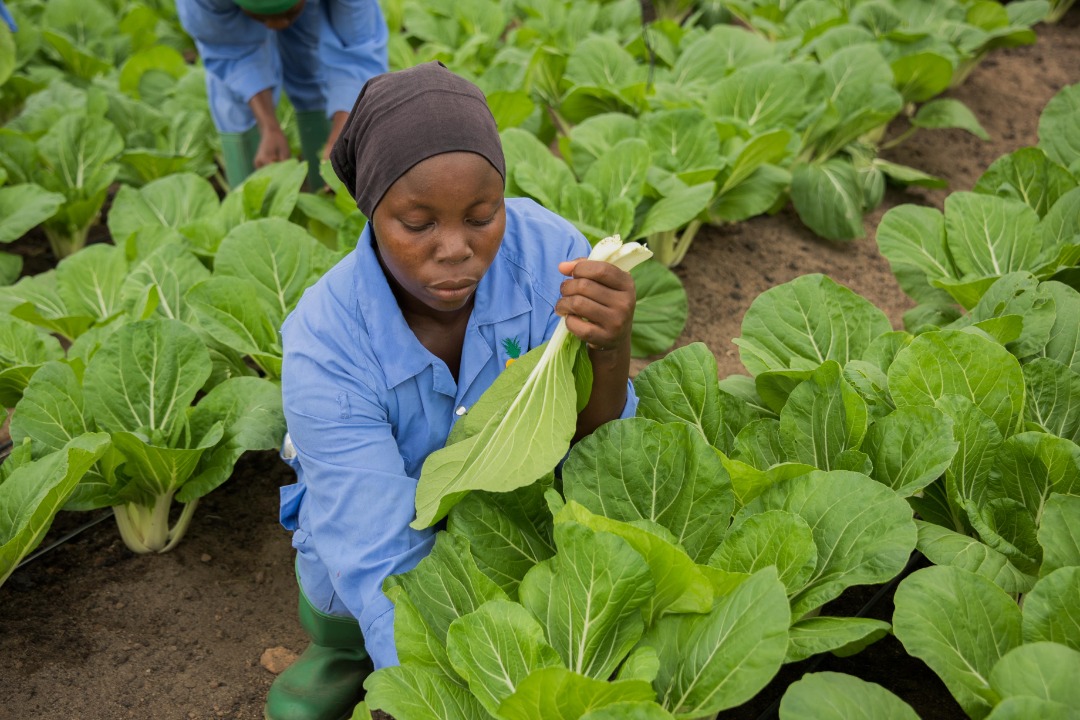 Meet the women growing your food