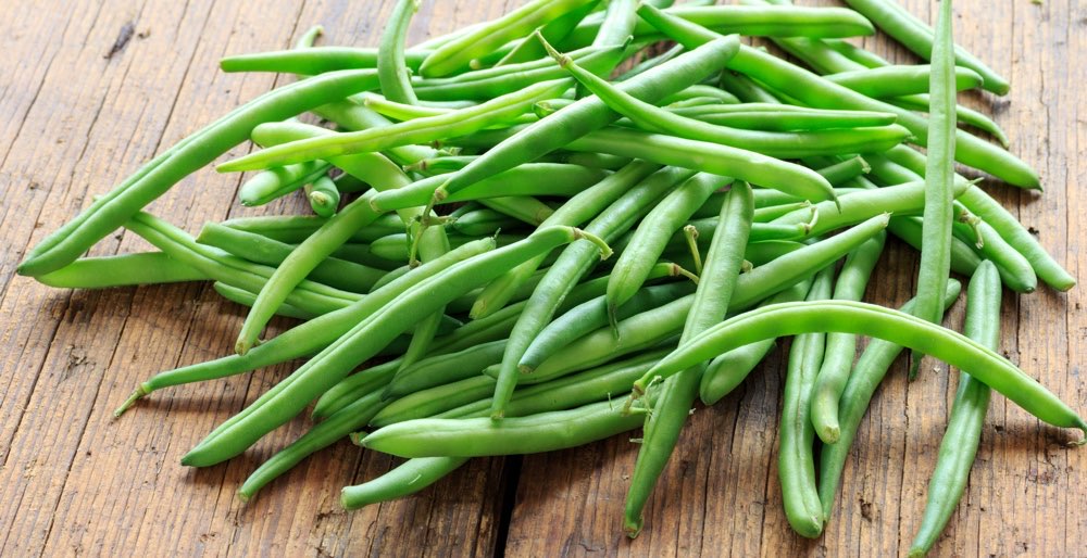 Fresh green beans from Tanzania prepared for export