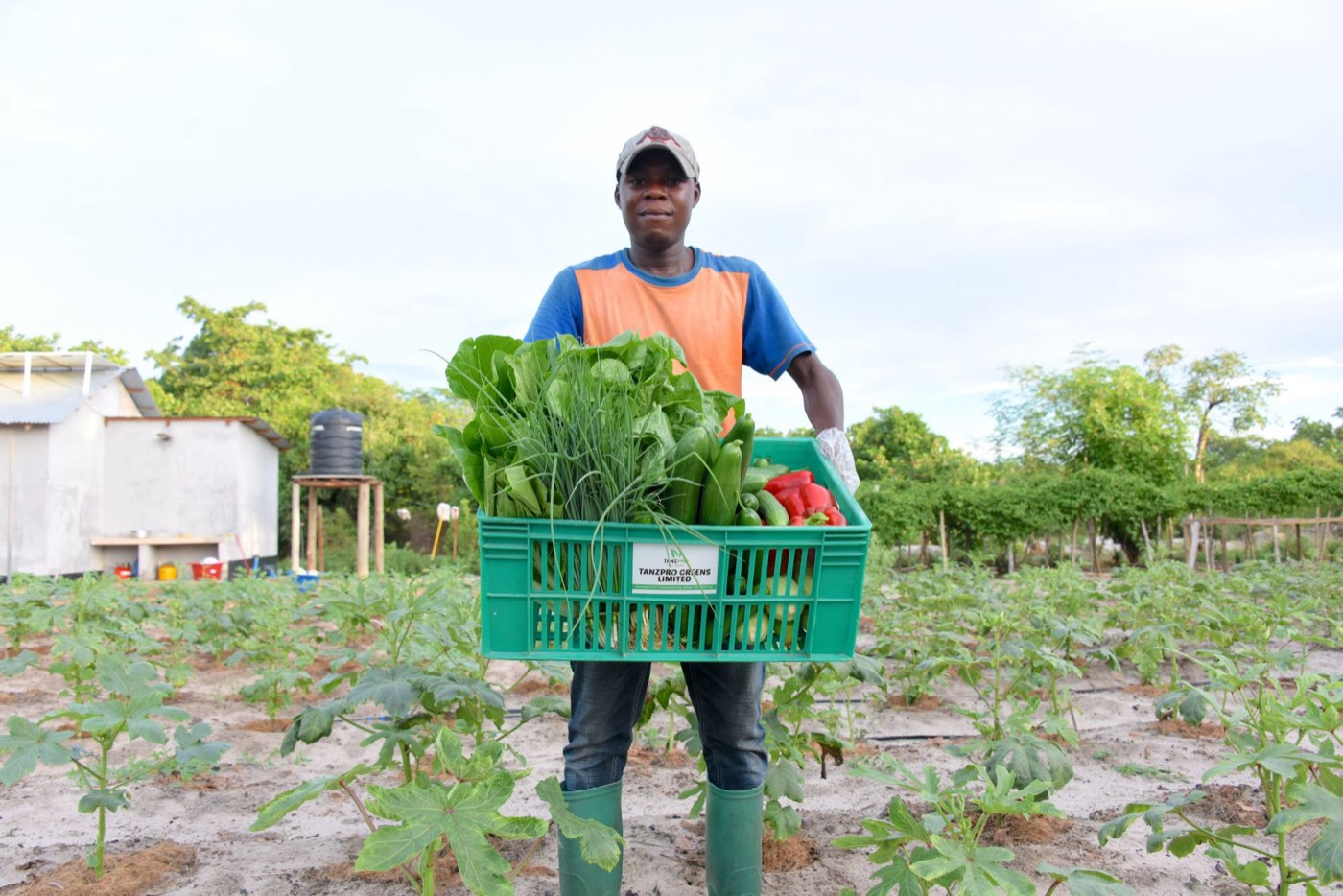 Mitaranda Organic Project